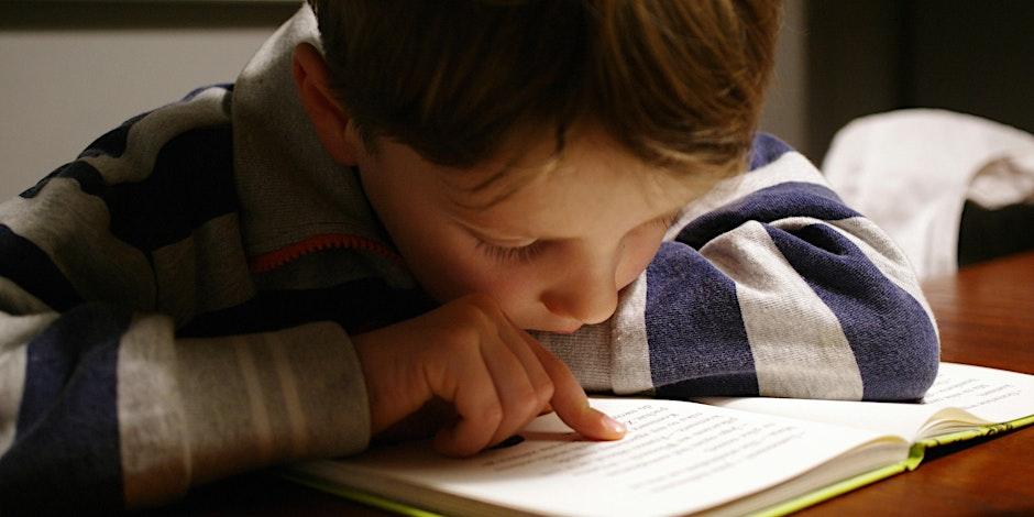 Understanding Dyslexia and Reading Difficulties: introduction for parents