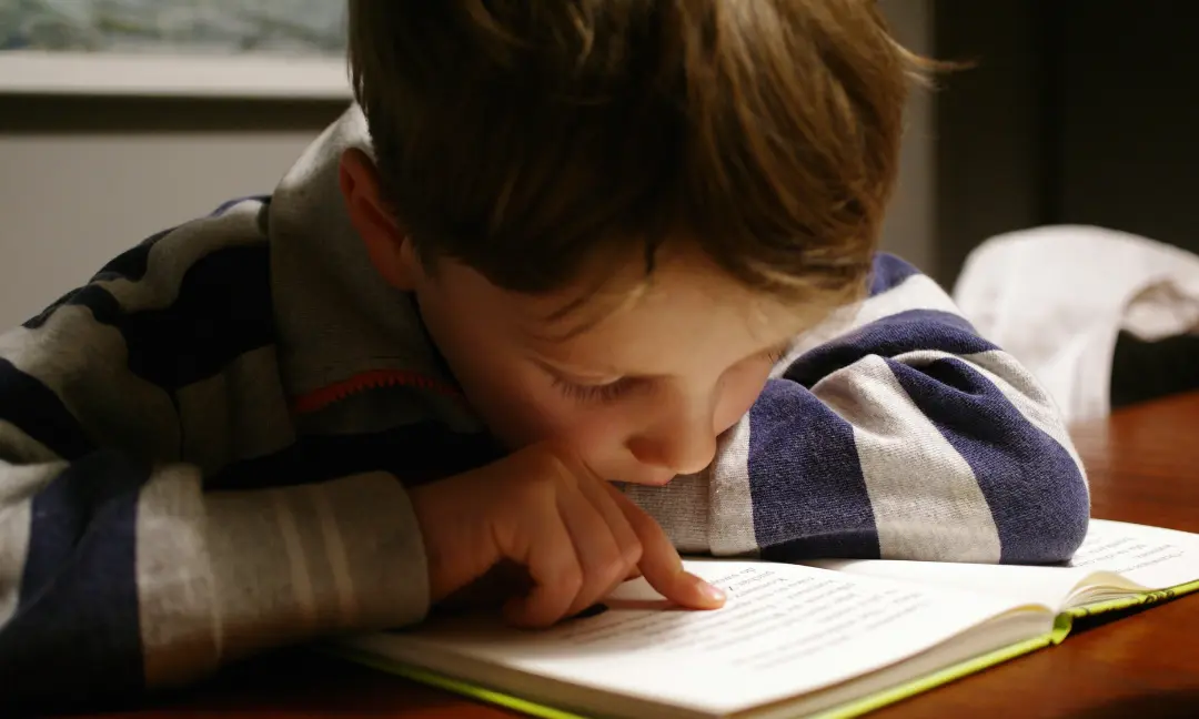 Understanding Dyslexia and Reading Difficulties: introduction for parents