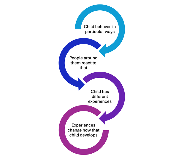 Image for Creating a Life