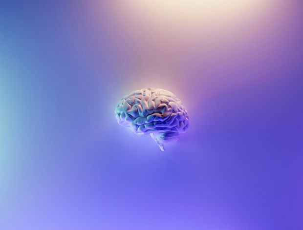 Image for Why I don't tell children they have differently wired brains